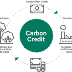 Unlocking Green Profits with Carbon Credit Facilitation Services