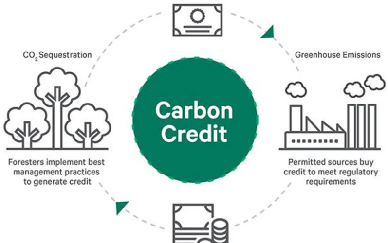 Carbon Credits