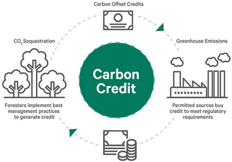 Carbon Credits